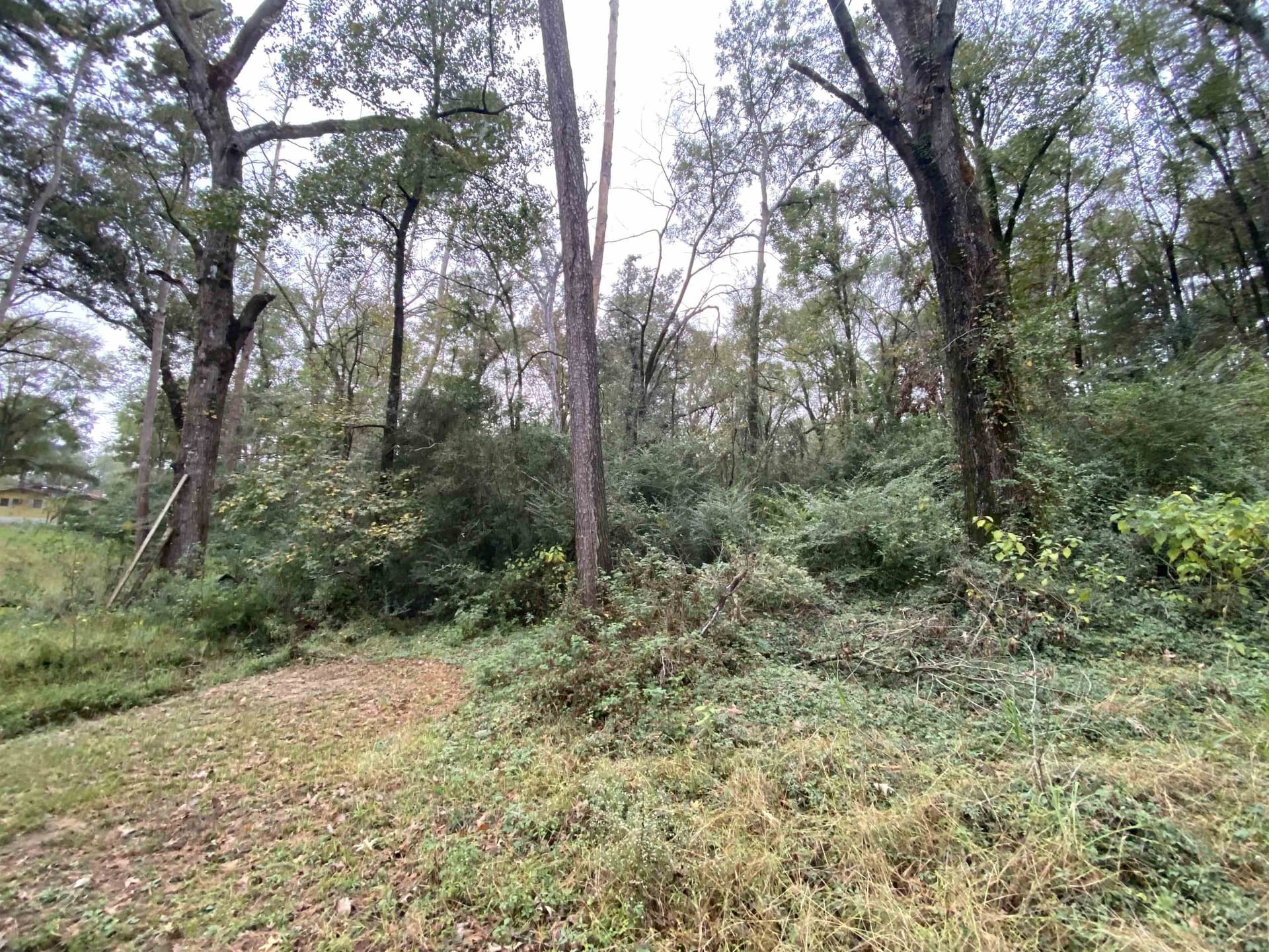 9.23 acres in Shelby County - photo 10