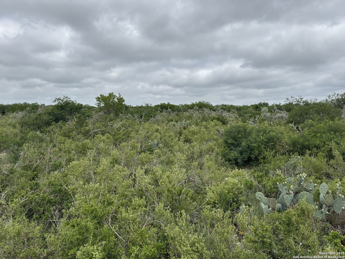 167.61 acres in Uvalde County gallery image 3