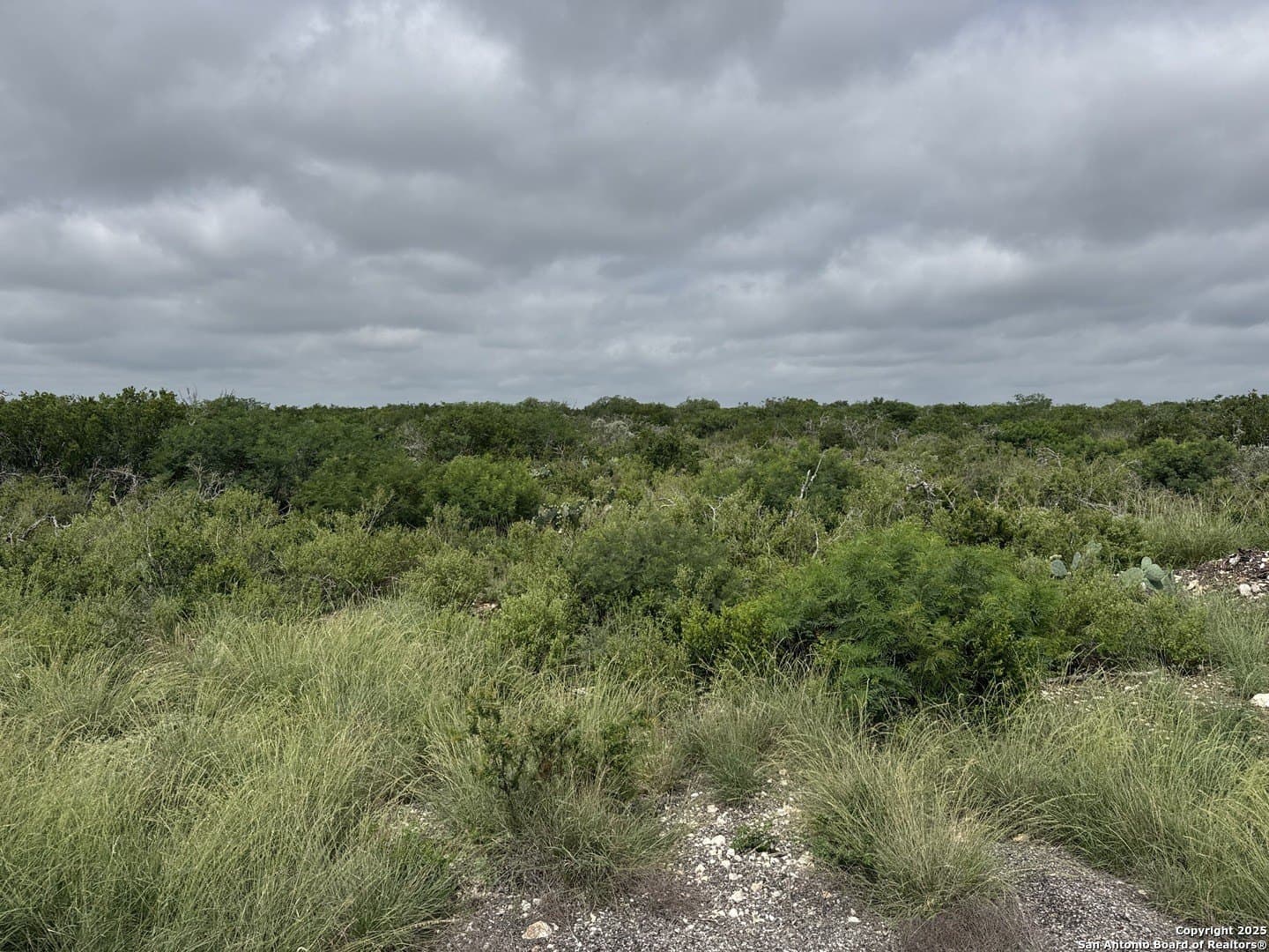 167.61 acres in Uvalde County gallery image 2