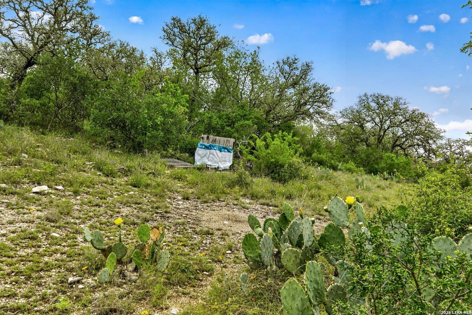 358.55 acres in Medina County - photo 39