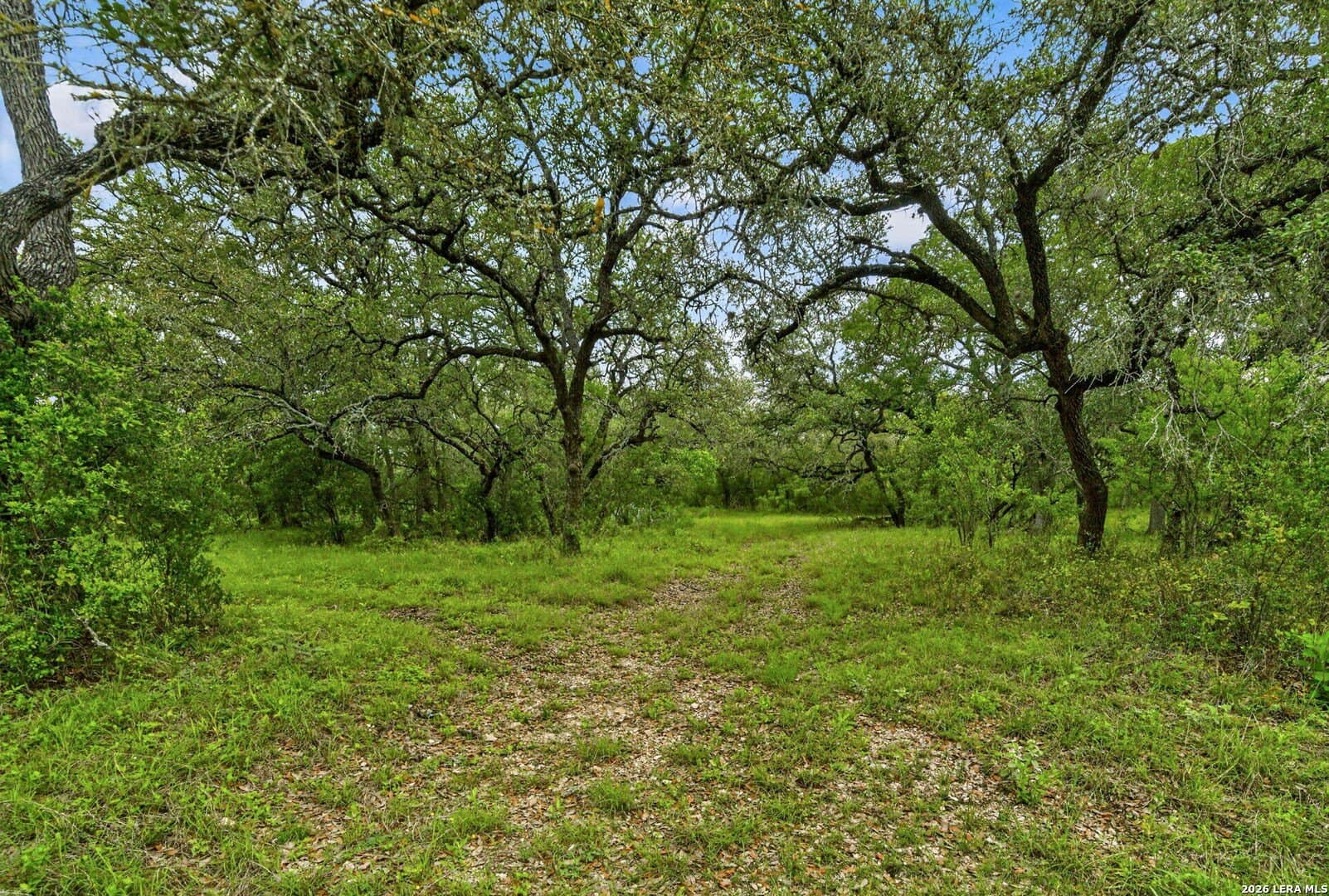 358.55 acres in Medina County - photo 50