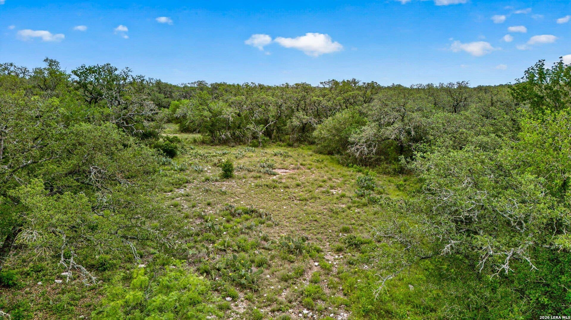 358.55 acres in Medina County - photo 37