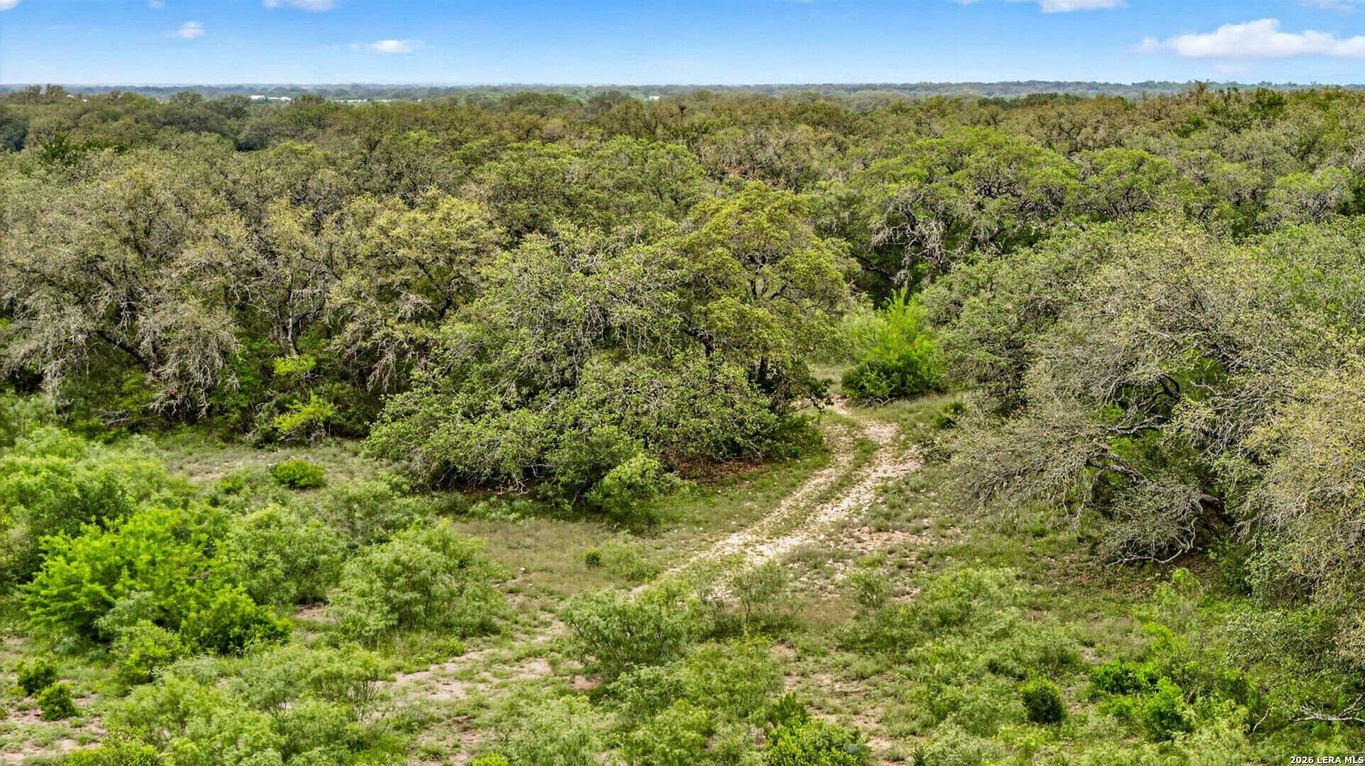 221.33 acres in Medina County gallery image 2