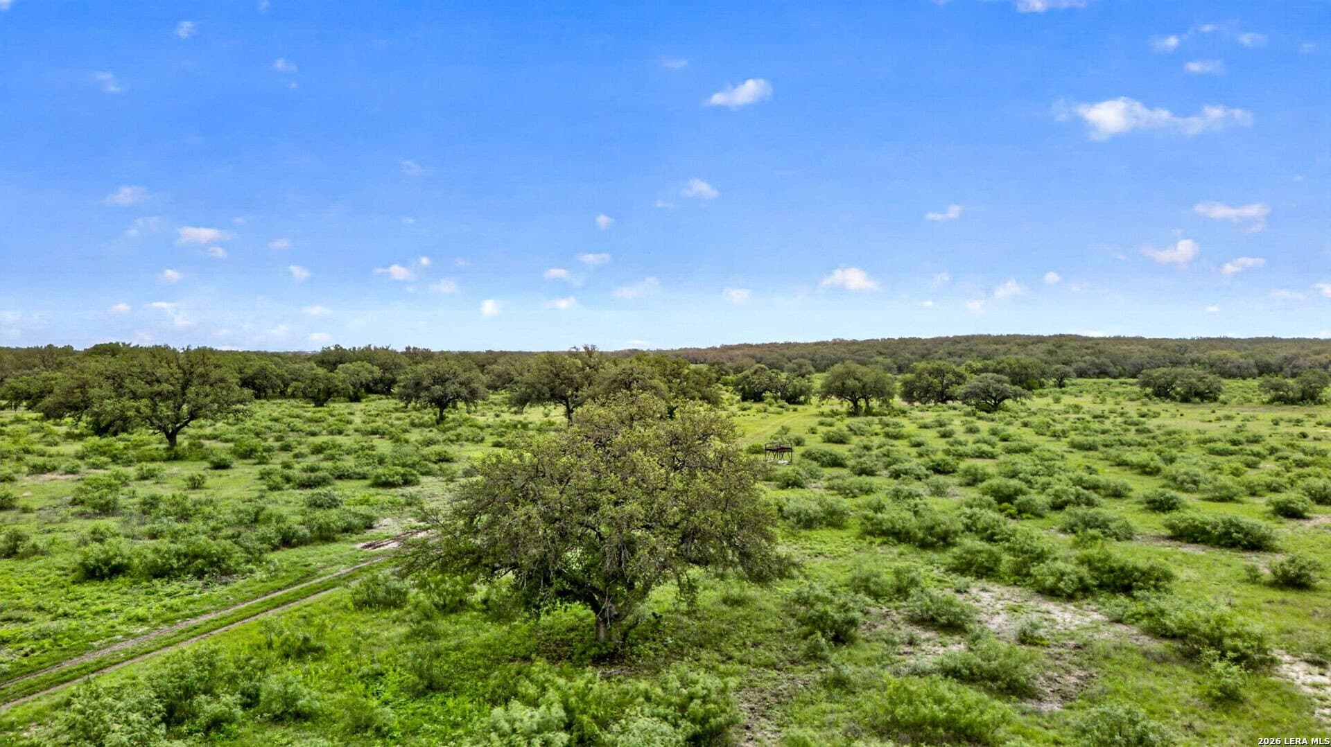 358.55 acres in Medina County - photo 21