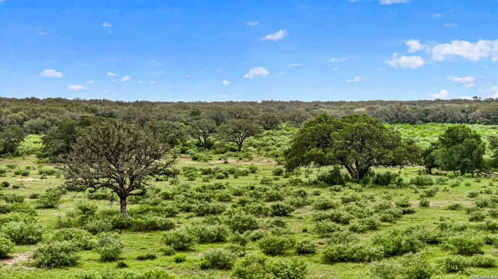358.55 acres in Medina County - photo 23
