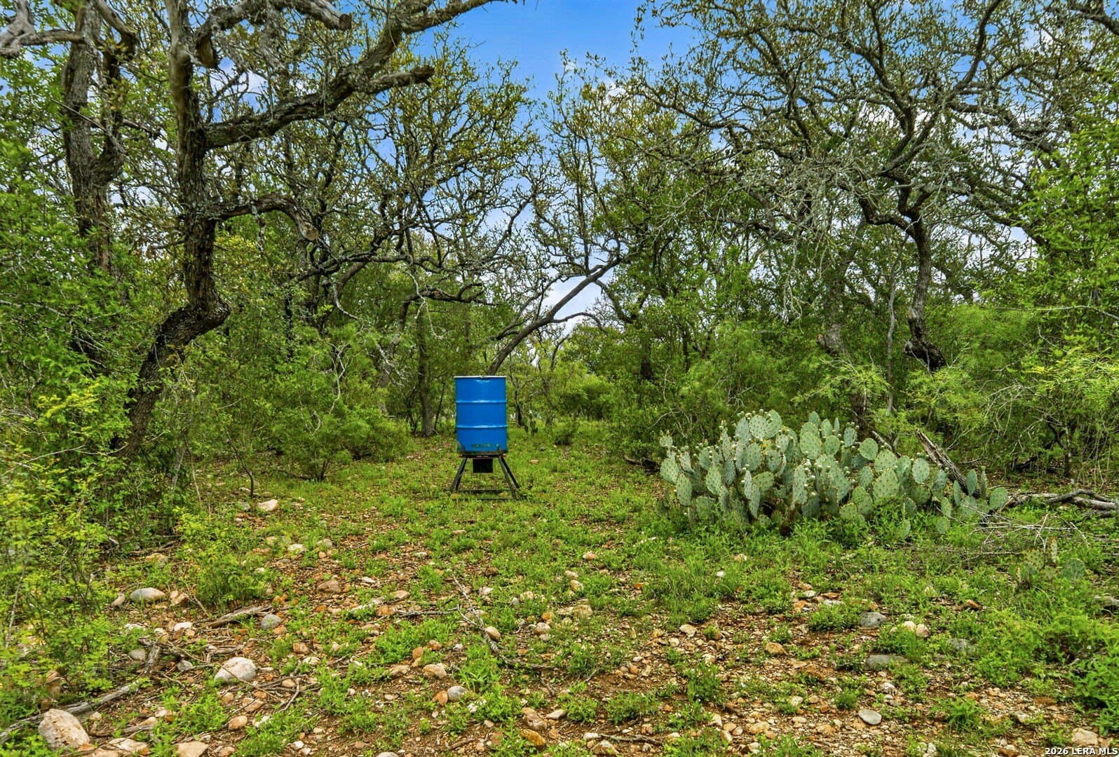 358.55 acres in Medina County - photo 45