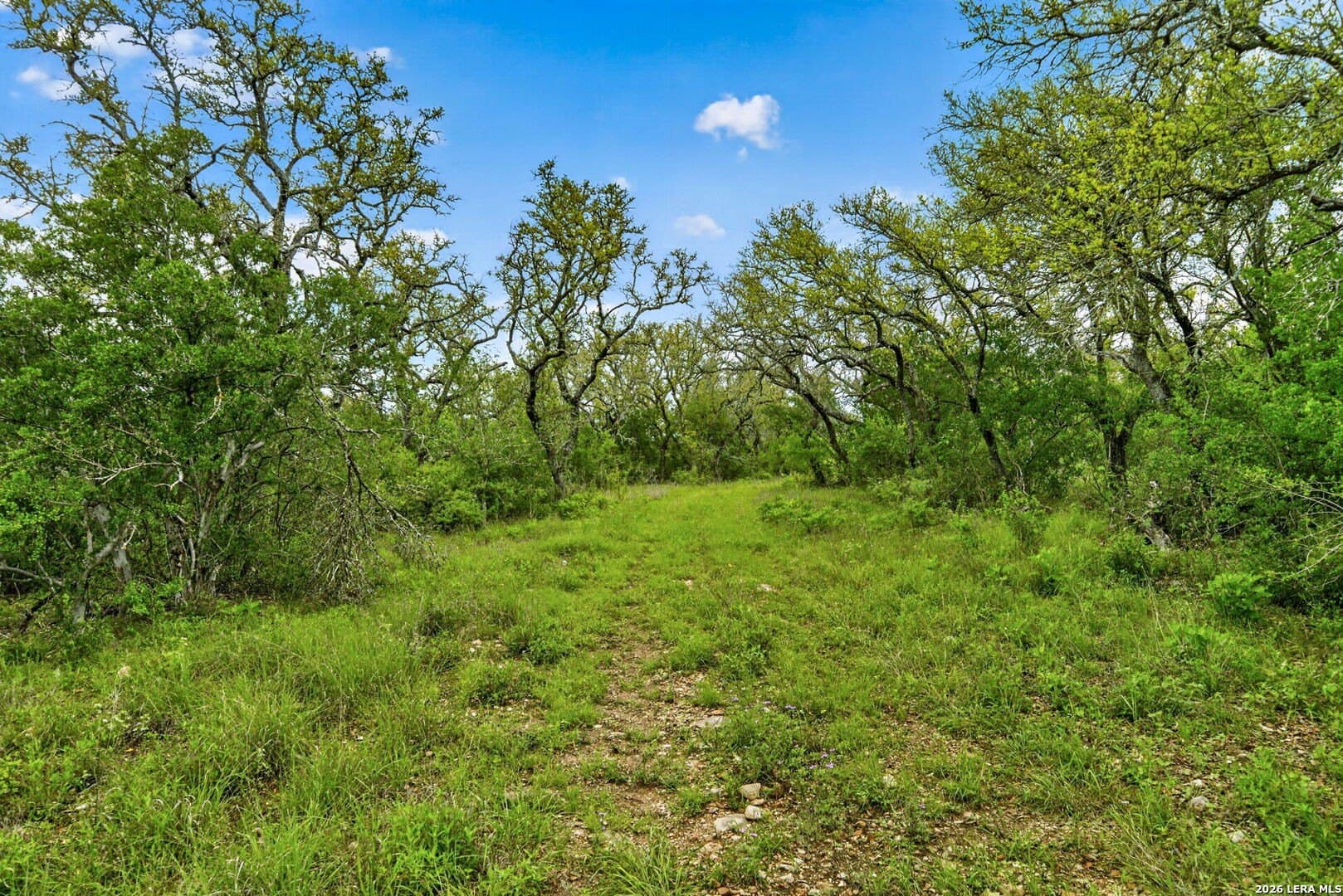 358.55 acres in Medina County - photo 47