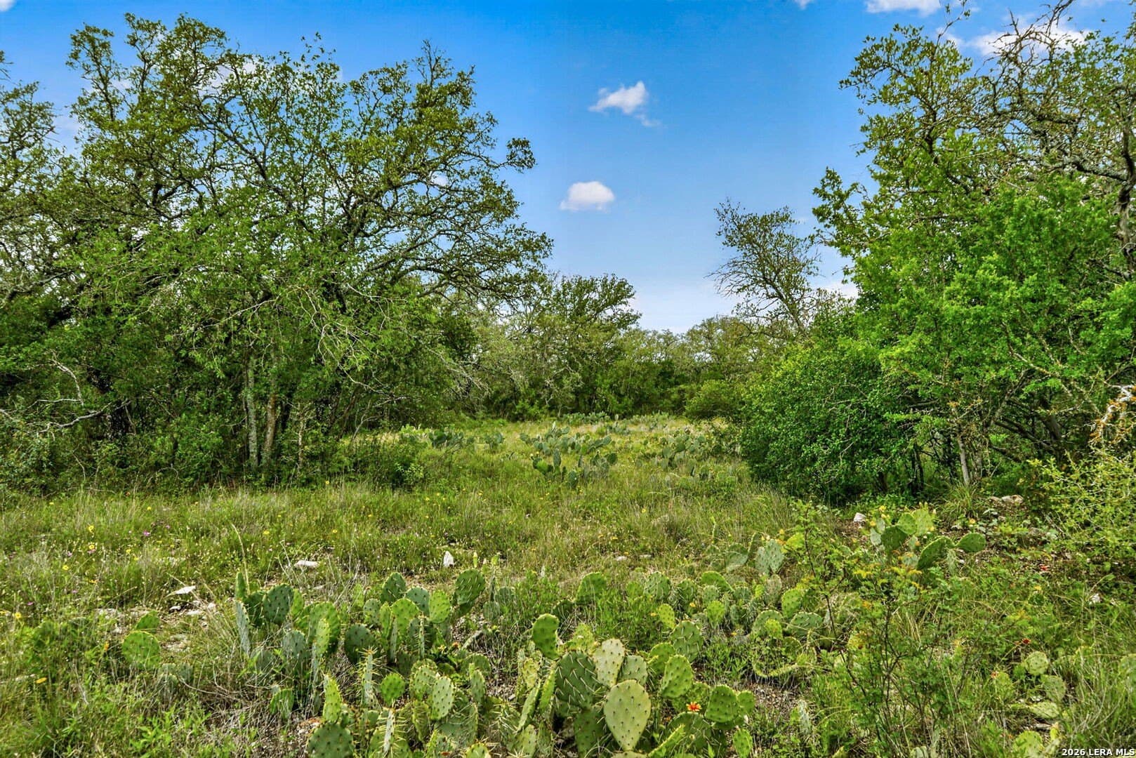 358.55 acres in Medina County - photo 40
