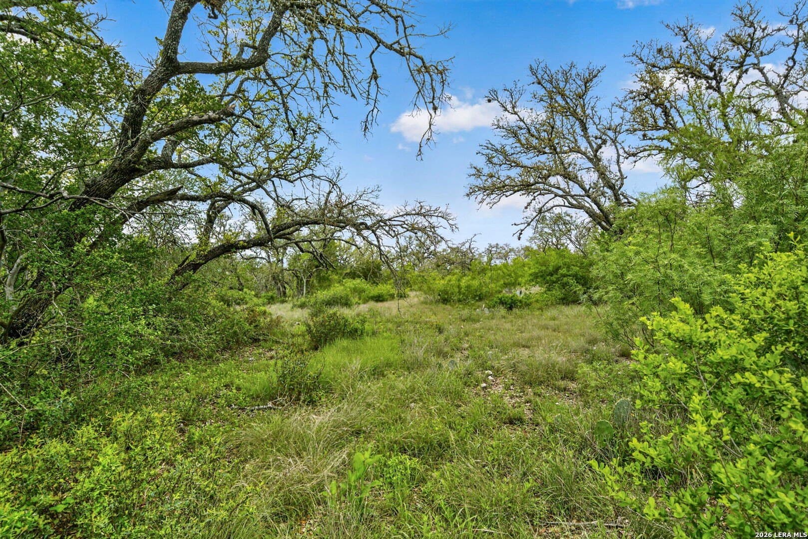 358.55 acres in Medina County - photo 44