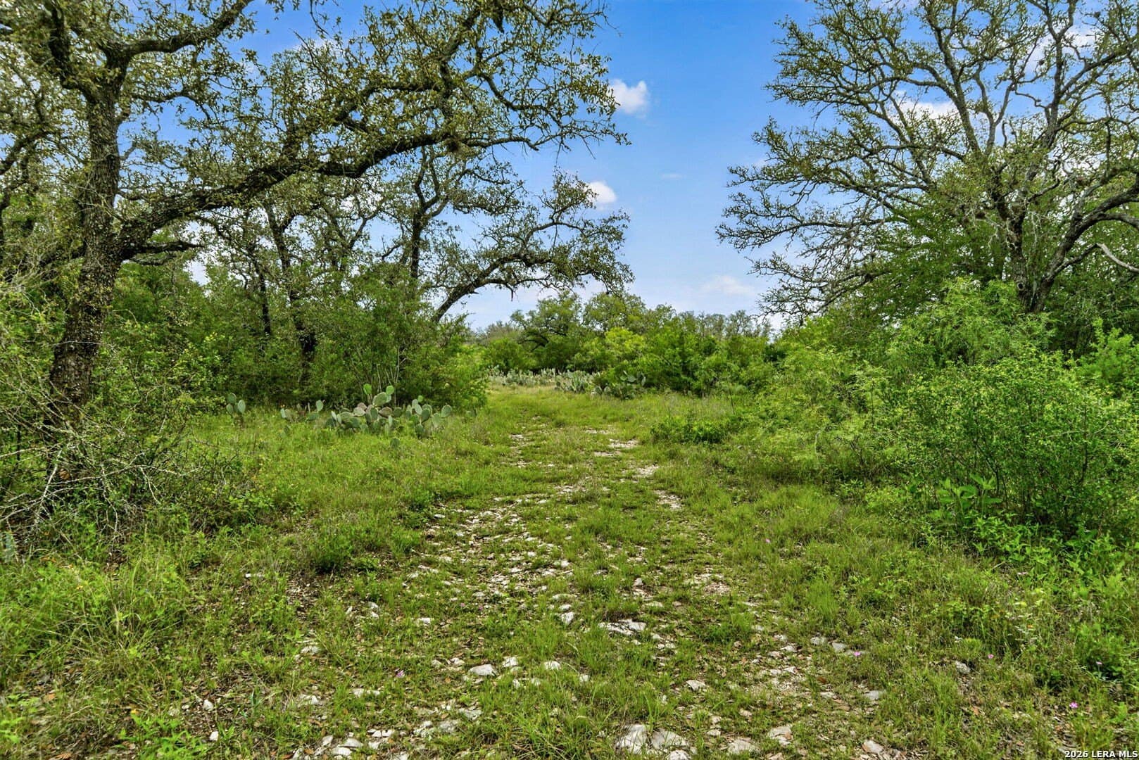 358.55 acres in Medina County - photo 41