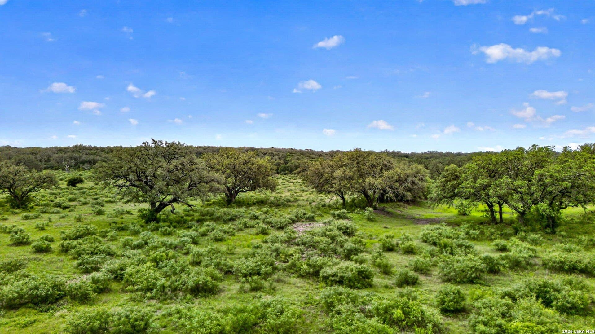 358.55 acres in Medina County - photo 19