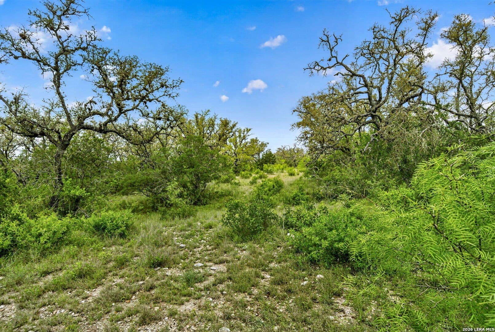 358.55 acres in Medina County - photo 43