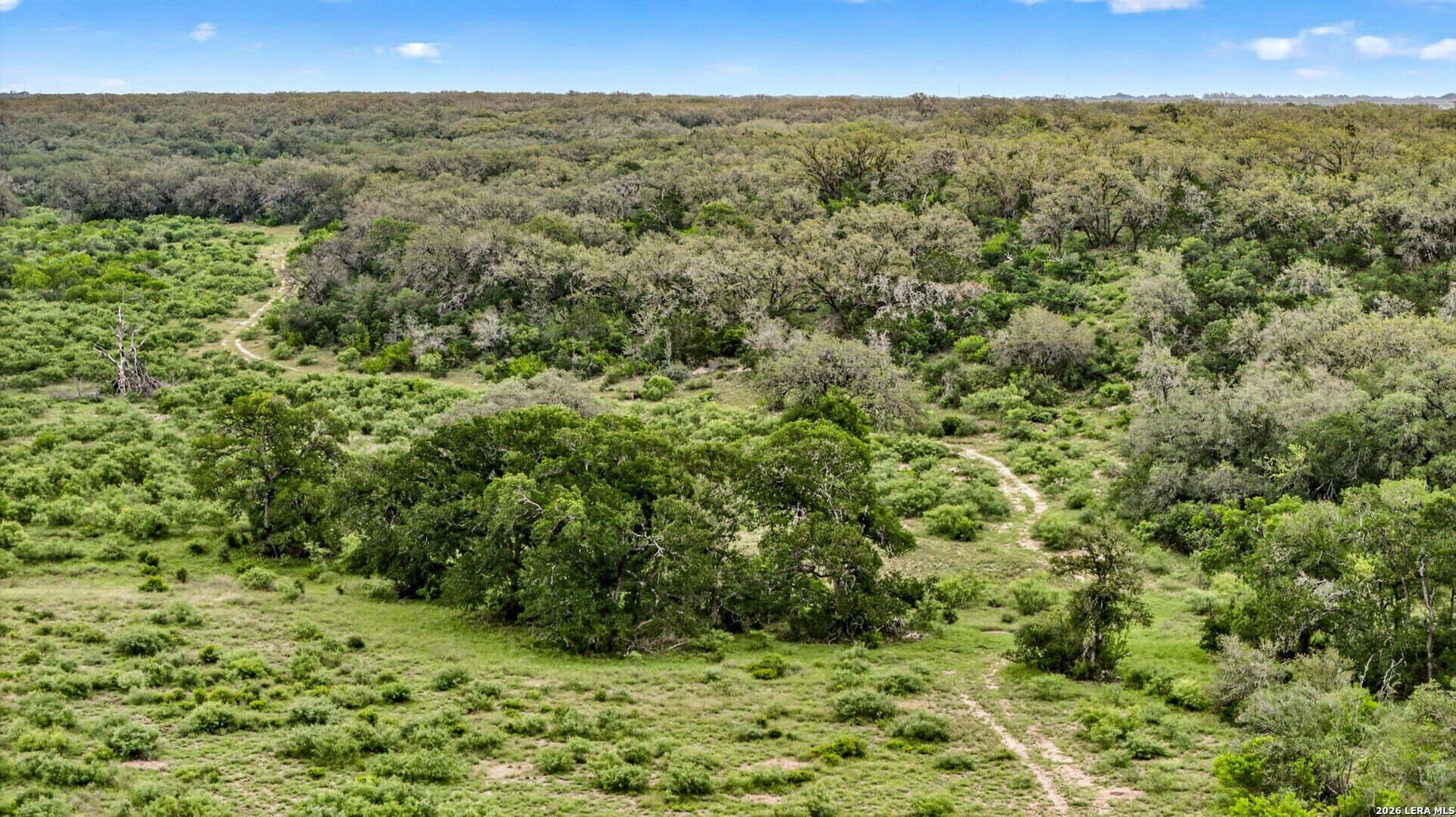 358.55 acres in Medina County - photo 28