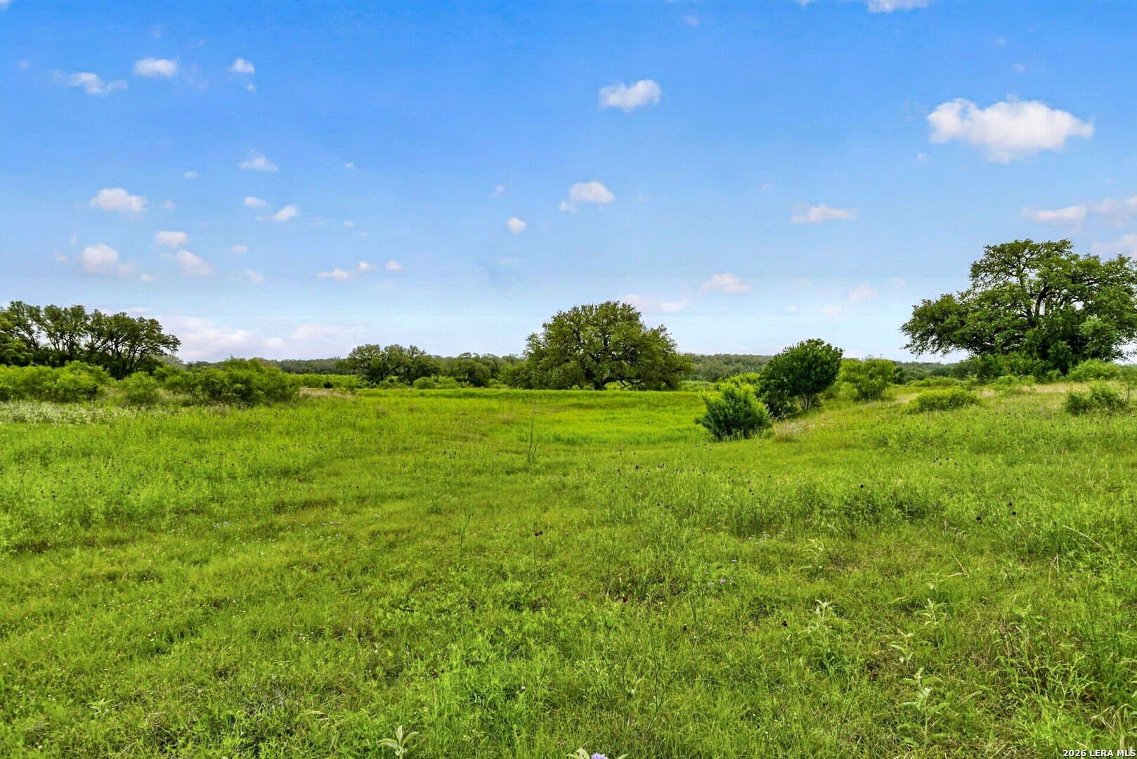 358.55 acres in Medina County - photo 51