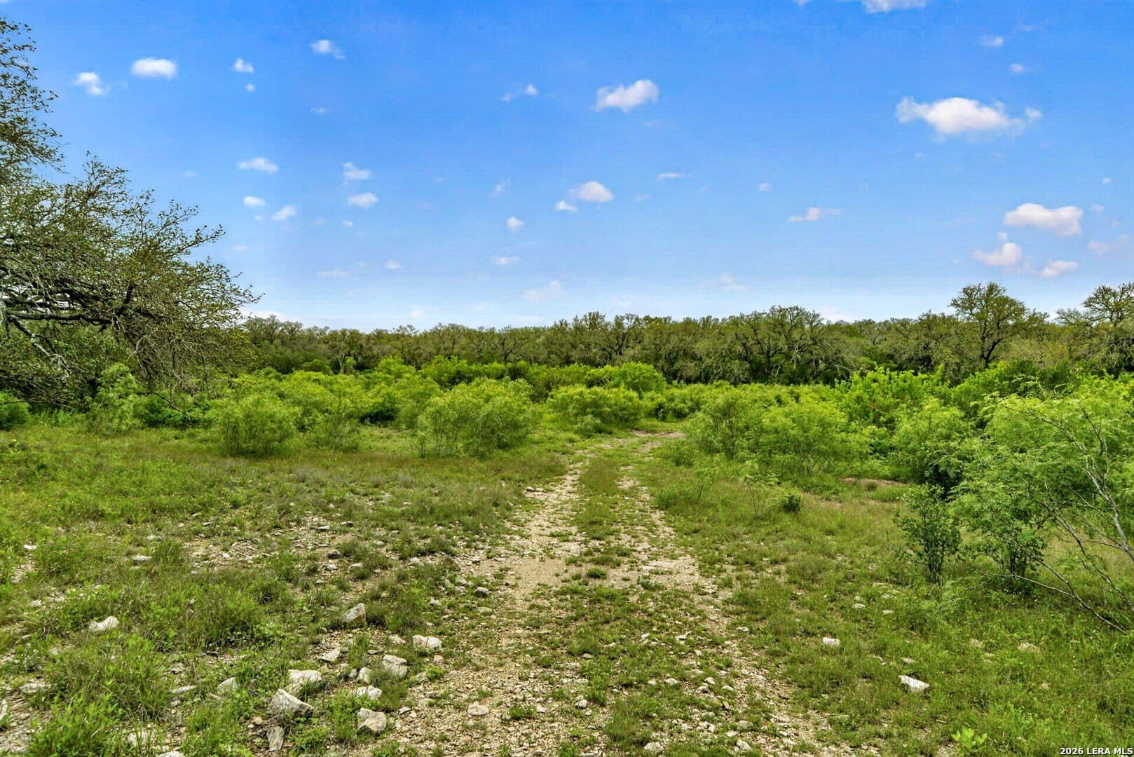 358.55 acres in Medina County - photo 38