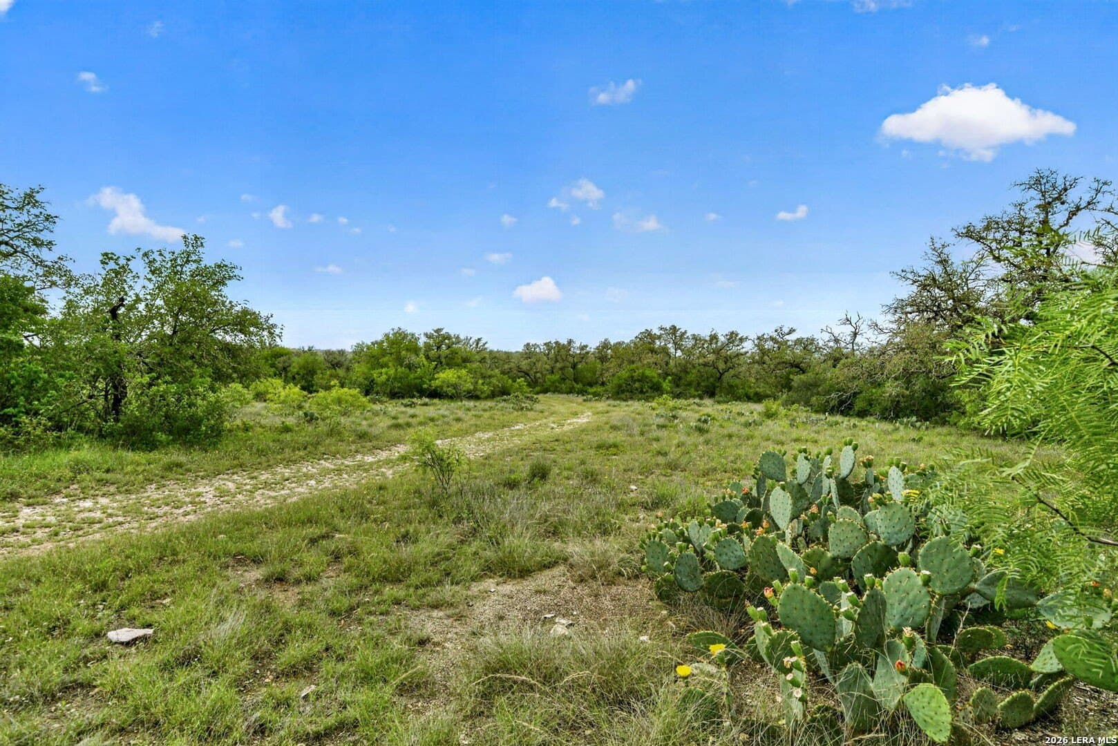 358.55 acres in Medina County - photo 42