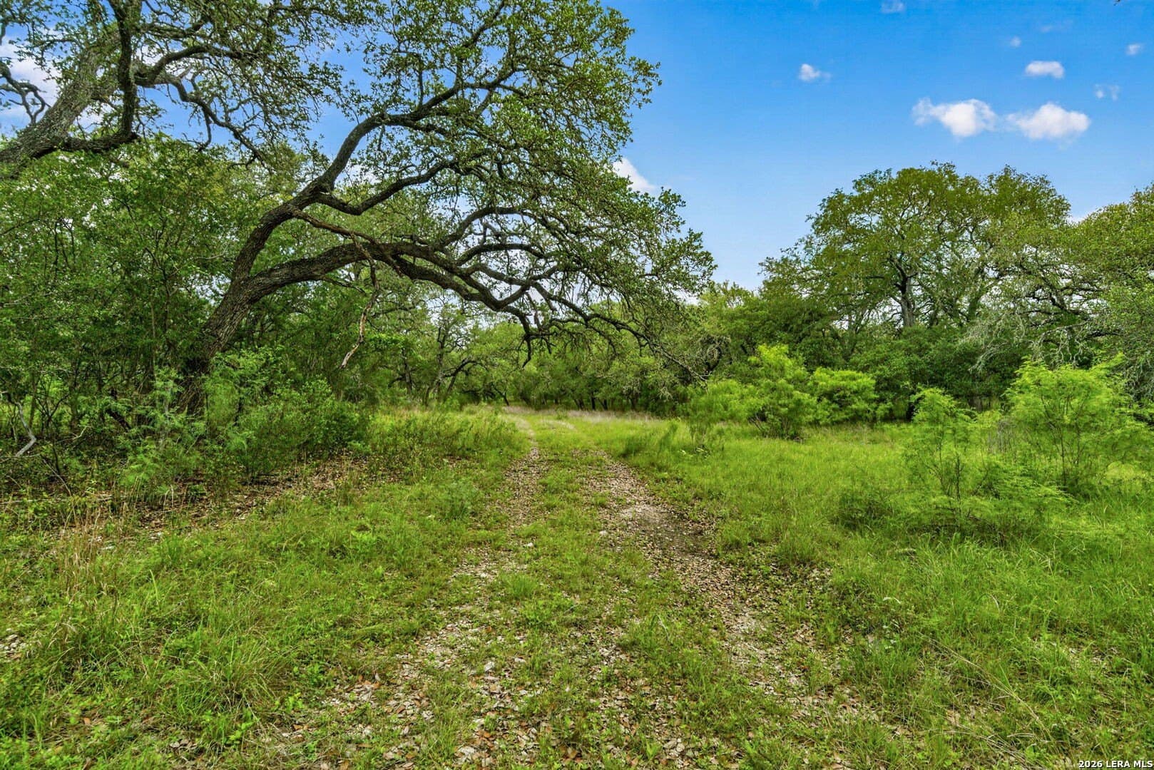 358.55 acres in Medina County - photo 49