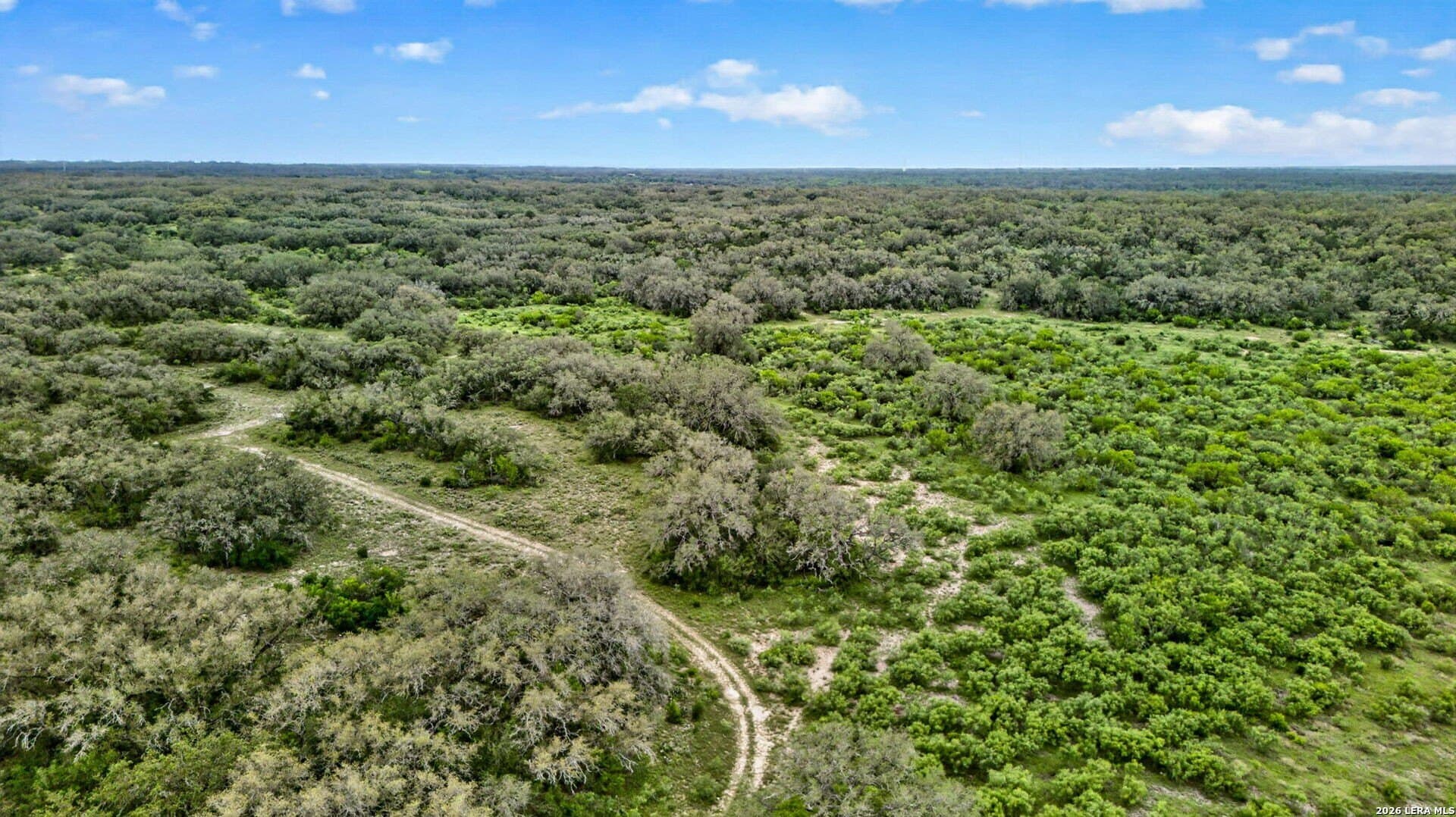 221.33 acres in Medina County gallery image 3