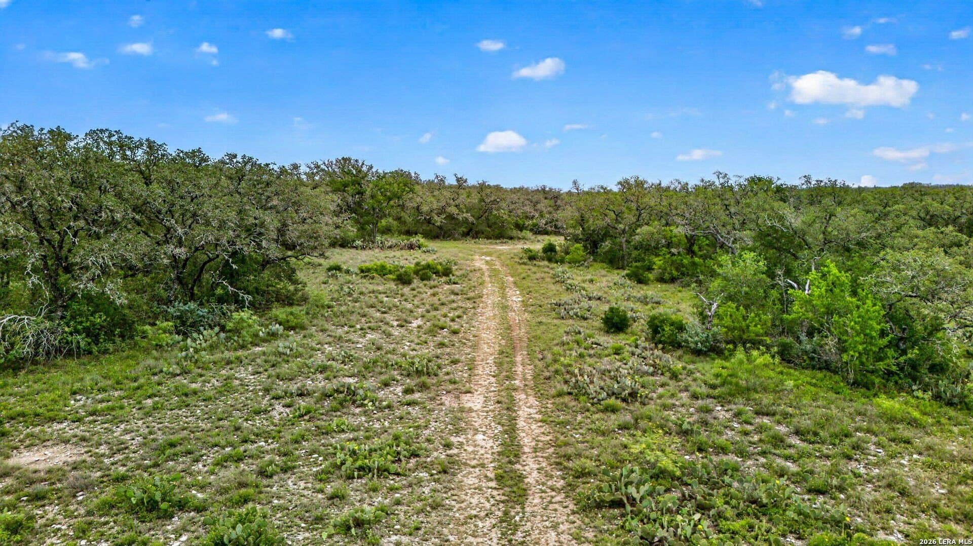 358.55 acres in Medina County - photo 36