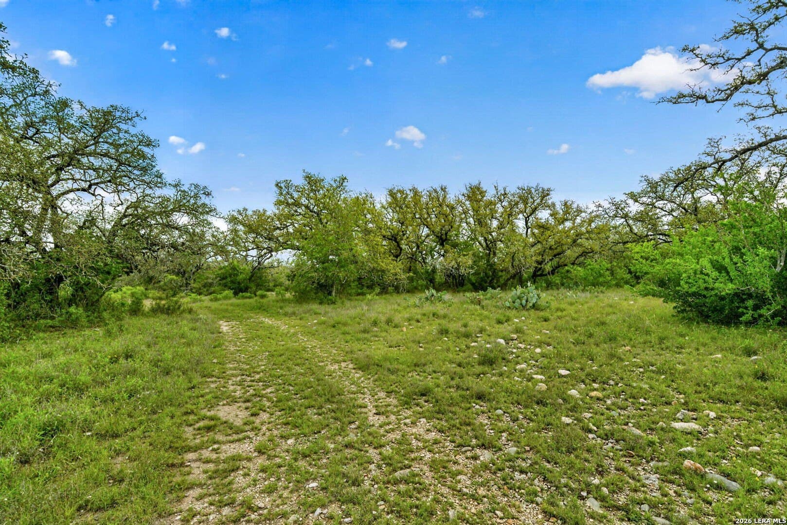 358.55 acres in Medina County - photo 48