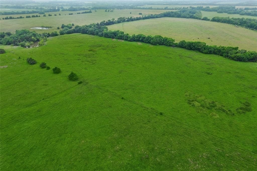 8.6 acres in Fannin County gallery image 4