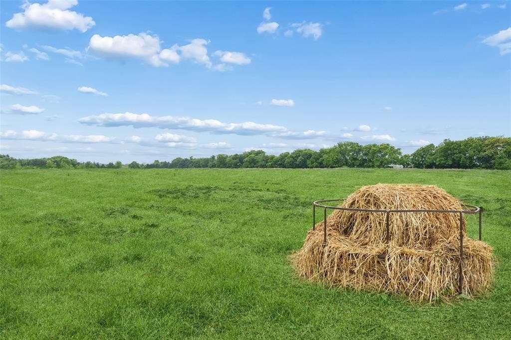 8.6 acres in Fannin County gallery image 3