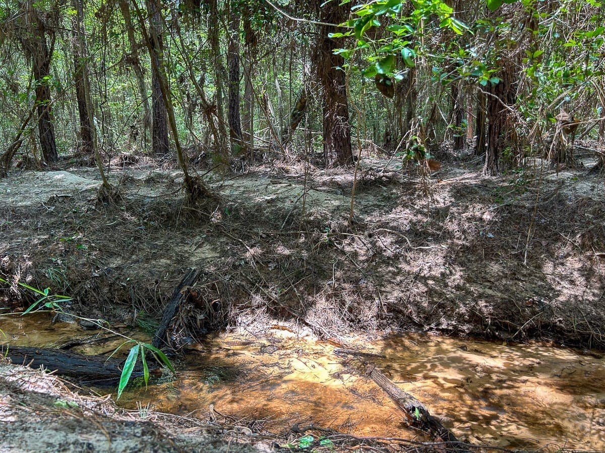 180 acres in Polk County - photo 8
