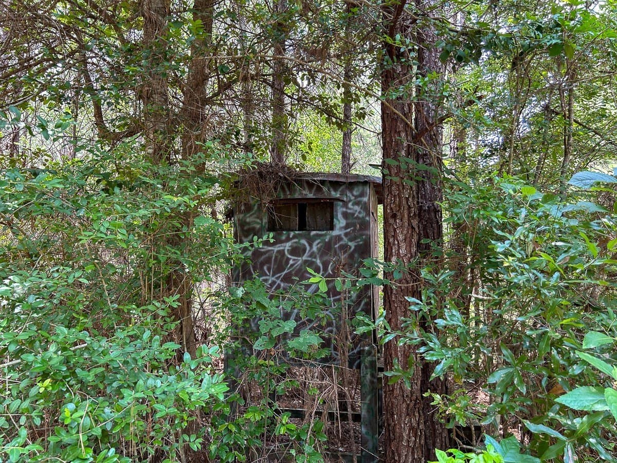 180 acres in Polk County - photo 12