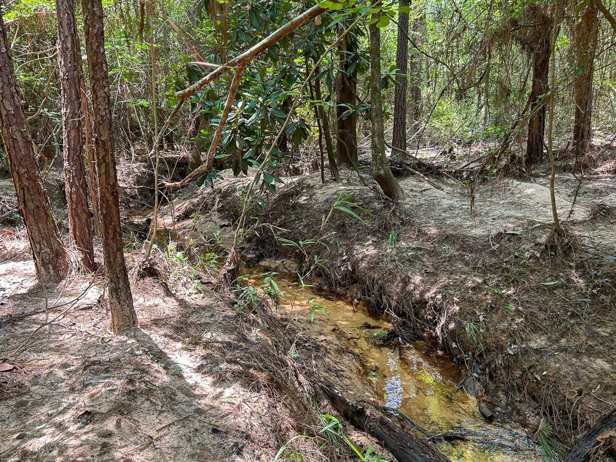 180 acres in Polk County - photo 9