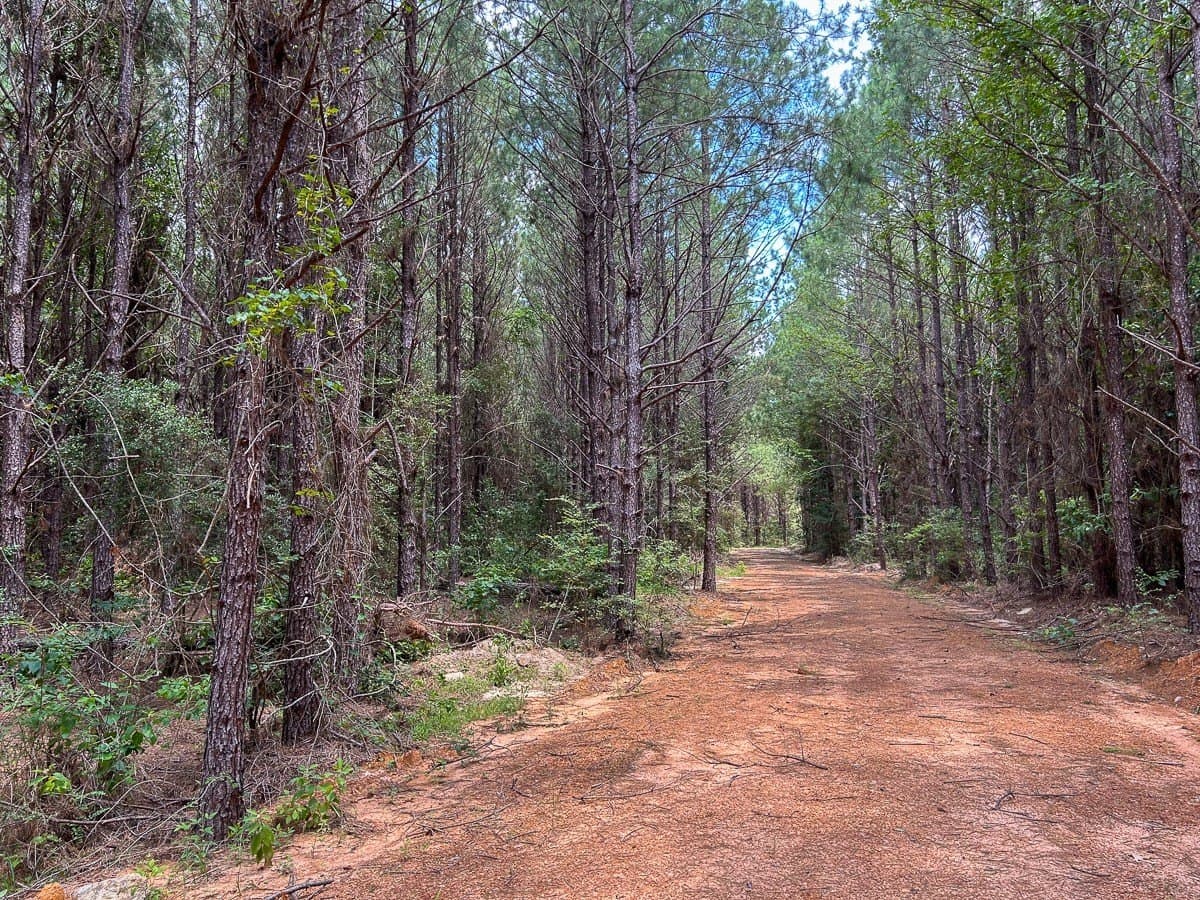 180 acres in Polk County - photo 21