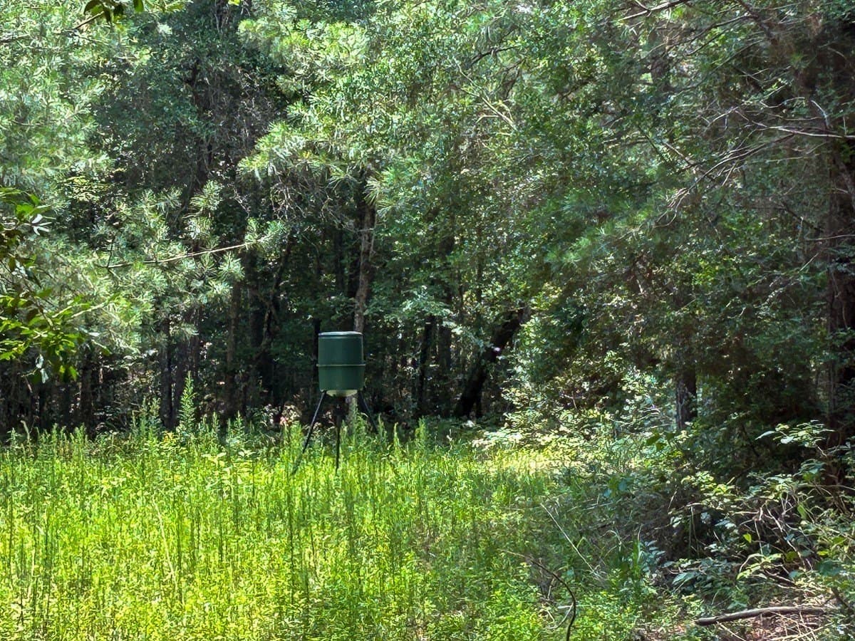 180 acres in Polk County - photo 13