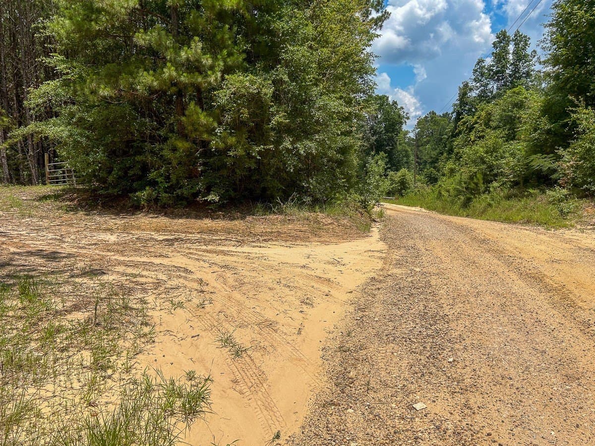 180 acres in Polk County - photo 15