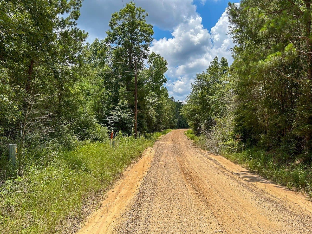 180 acres in Polk County - photo 17