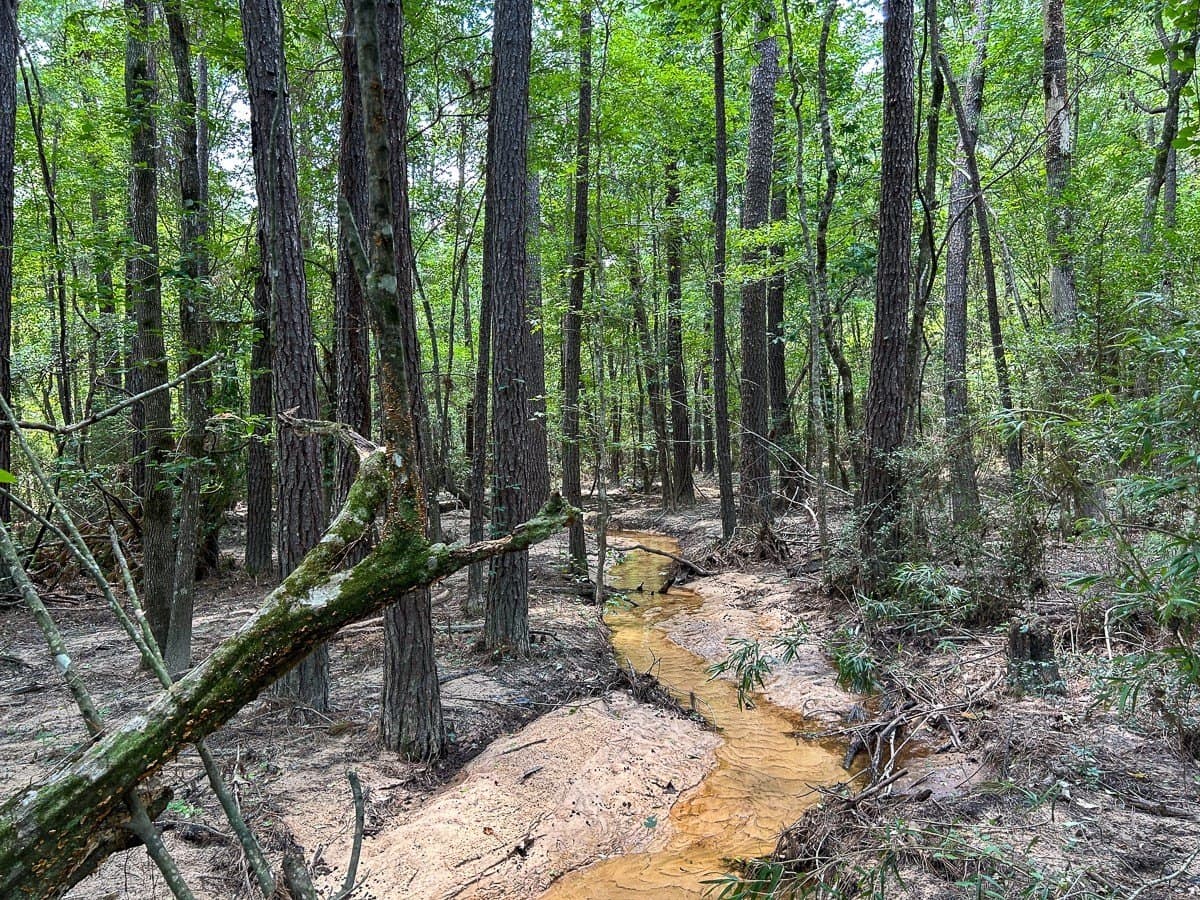 180 acres in Polk County - photo 7