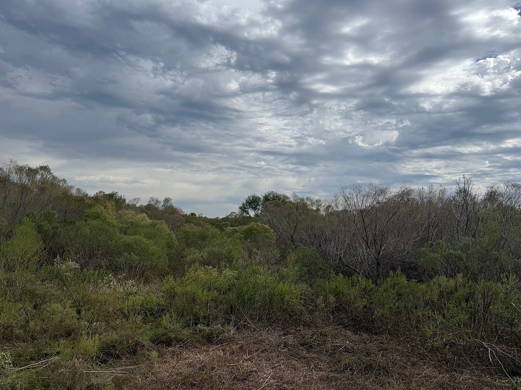 17.22 acres in Fort Bend County gallery image 3