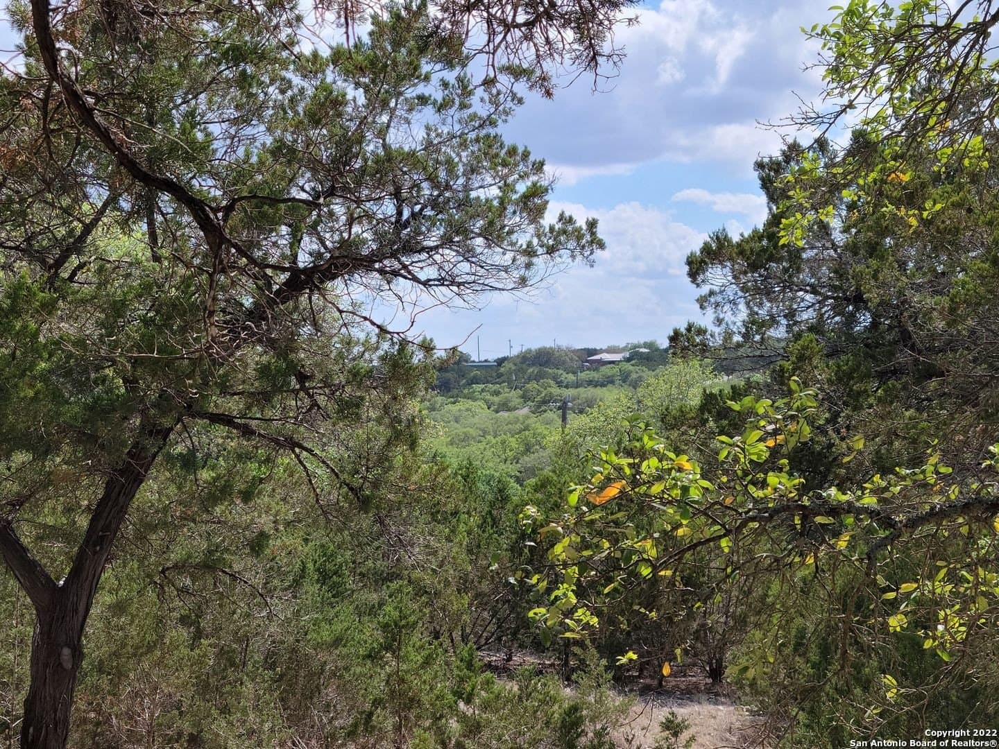 2.53 acres in Comal County - photo 17