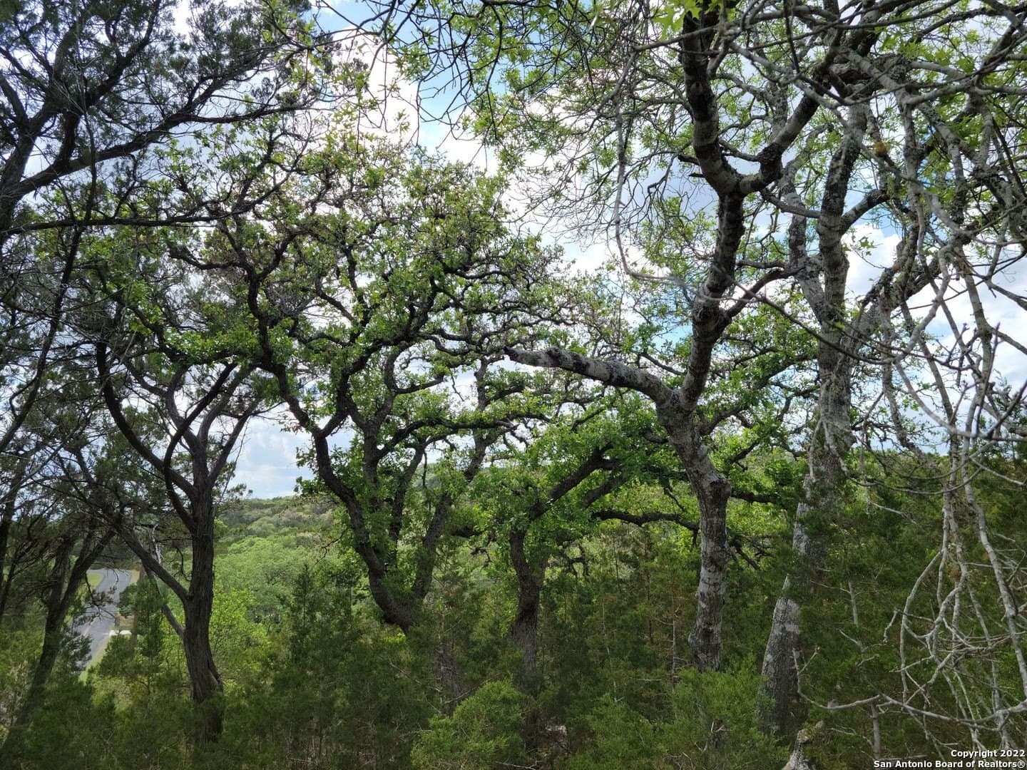 2.53 acres in Comal County - photo 8