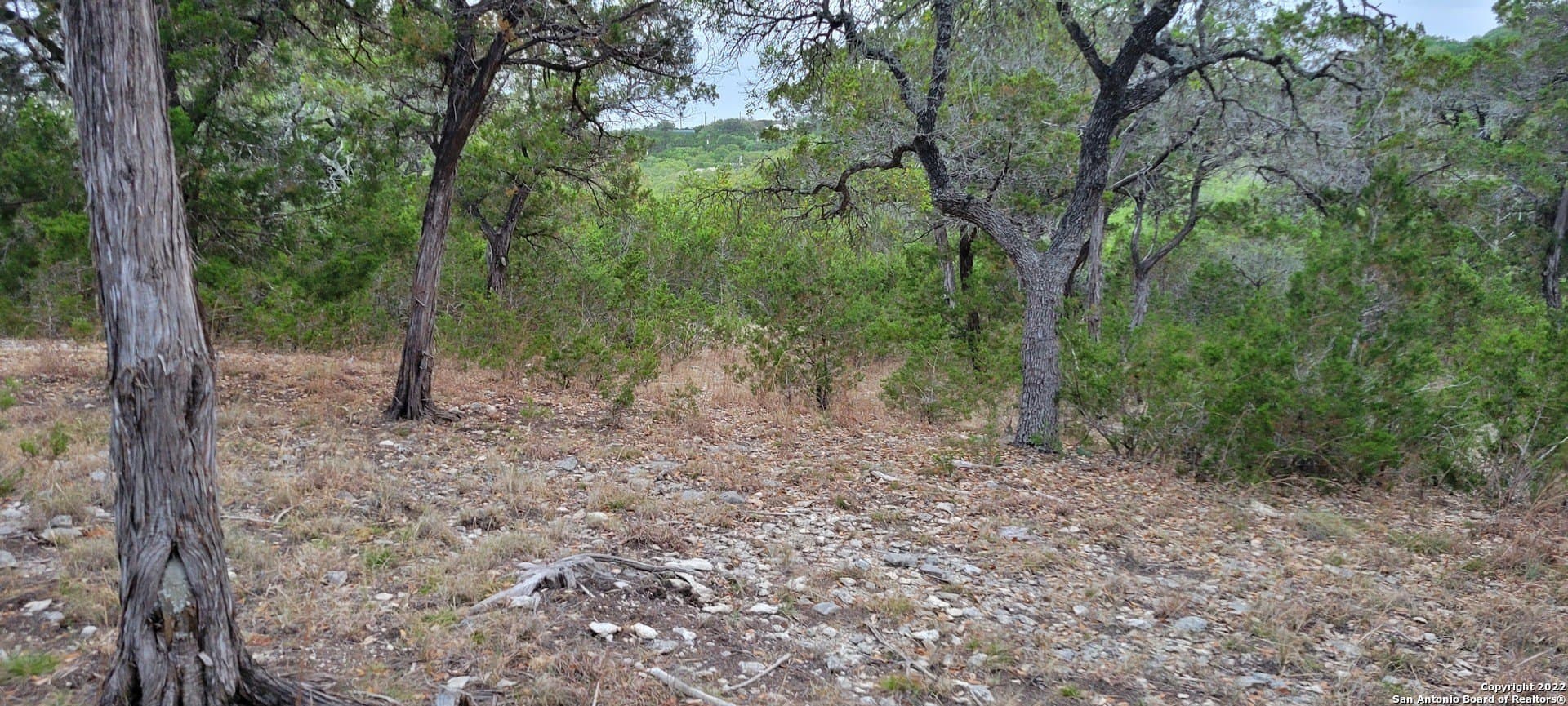 2.53 acres in Comal County - photo 24