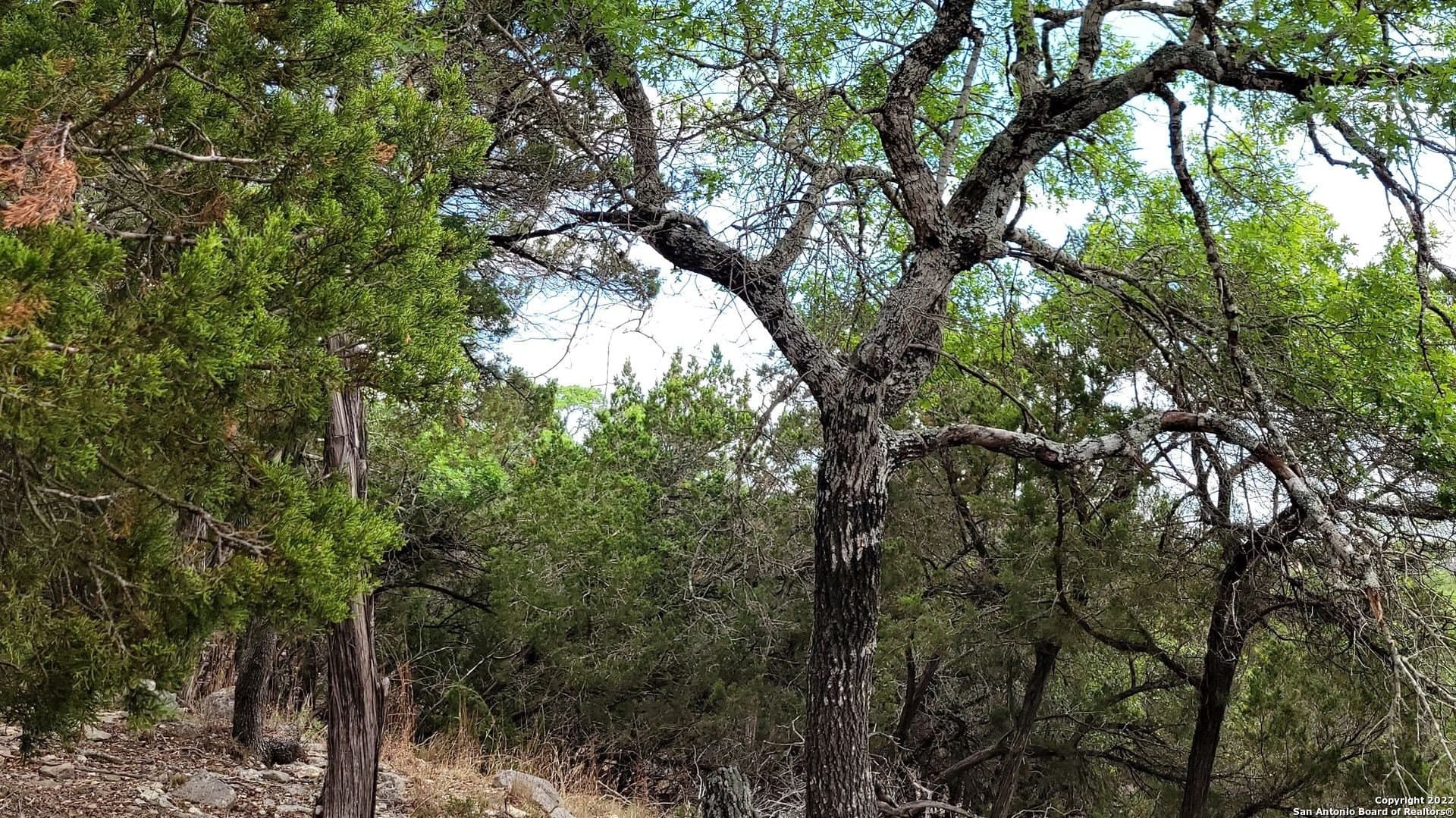 2.53 acres in Comal County - photo 11