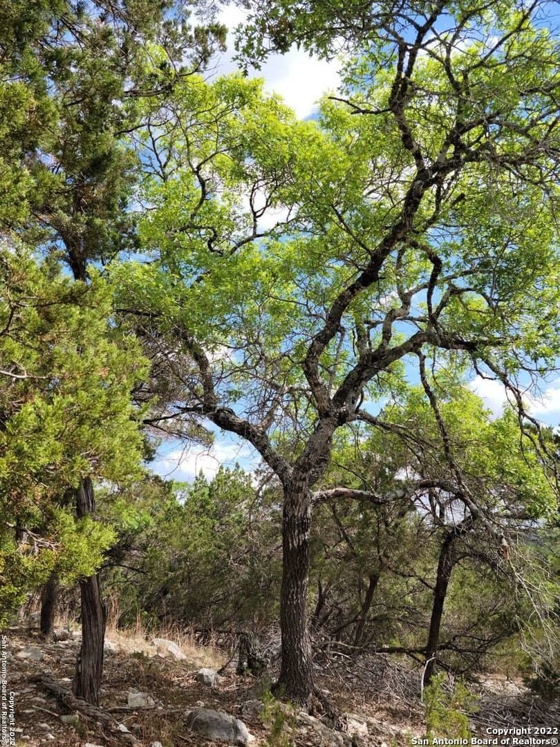 2.53 acres in Comal County - photo 12