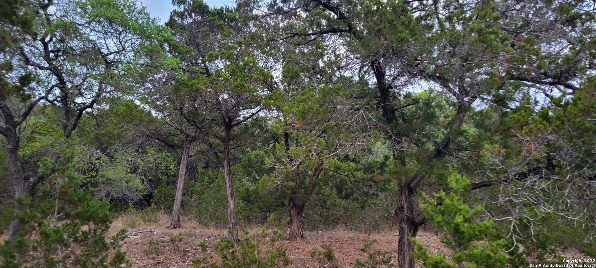 2.53 acres in Comal County - photo 23
