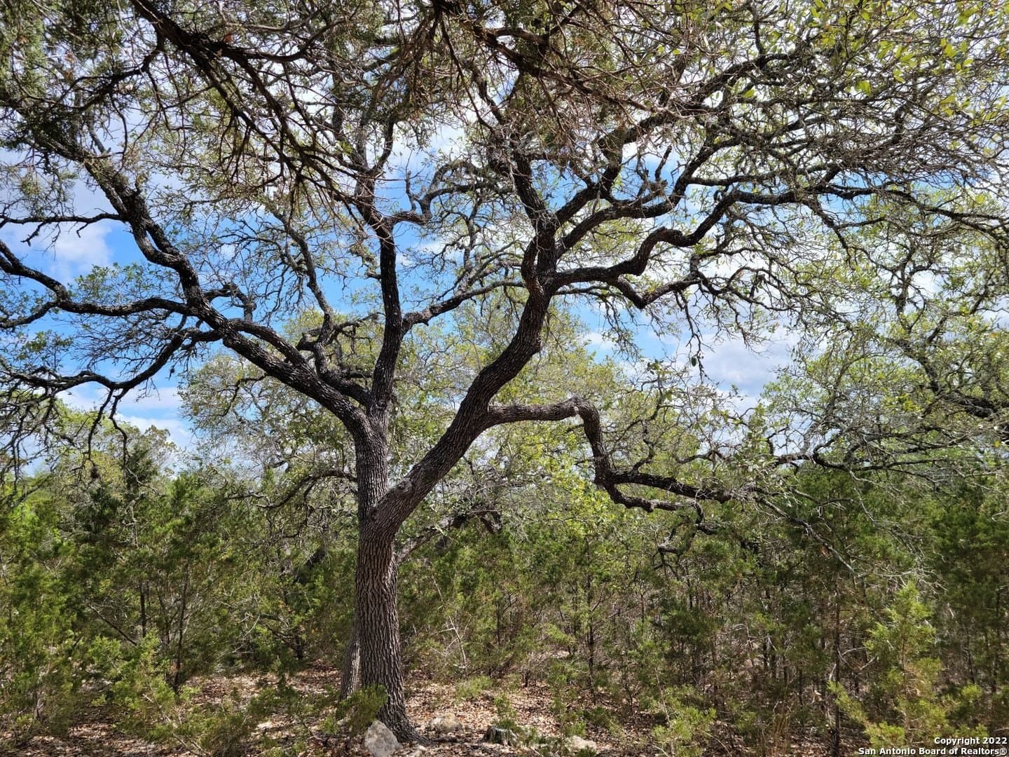 2.53 acres in Comal County - photo 9