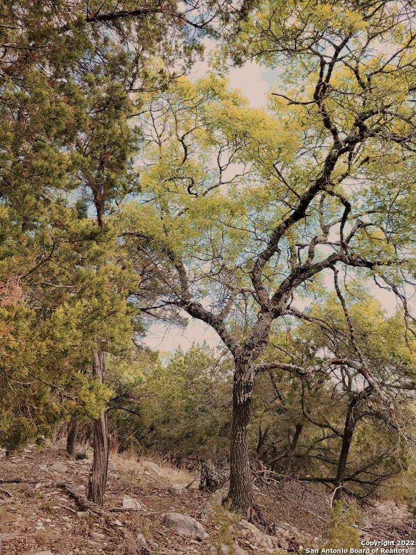 2.53 acres in Comal County - photo 6