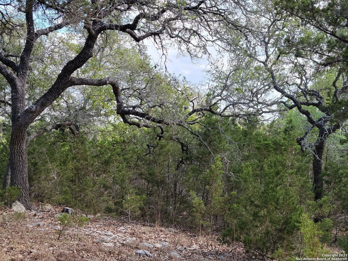 2.53 acres in Comal County - photo 18