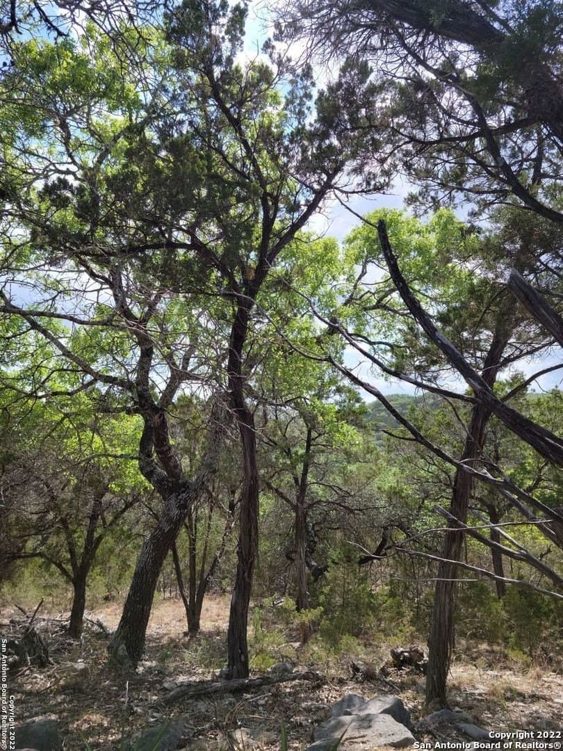 2.53 acres in Comal County - photo 14