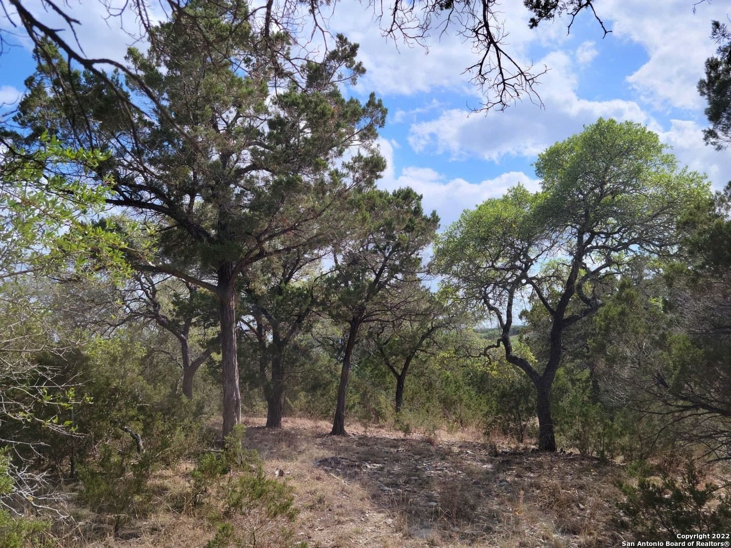 2.53 acres in Comal County - photo 16