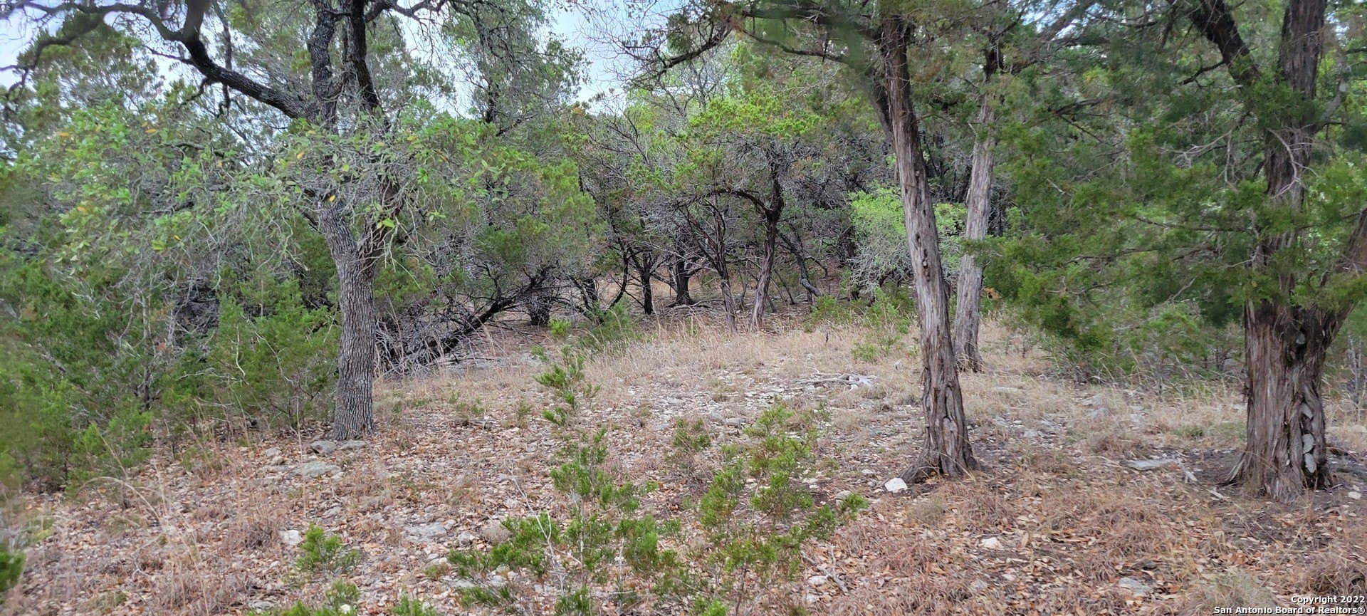 2.53 acres in Comal County - photo 22