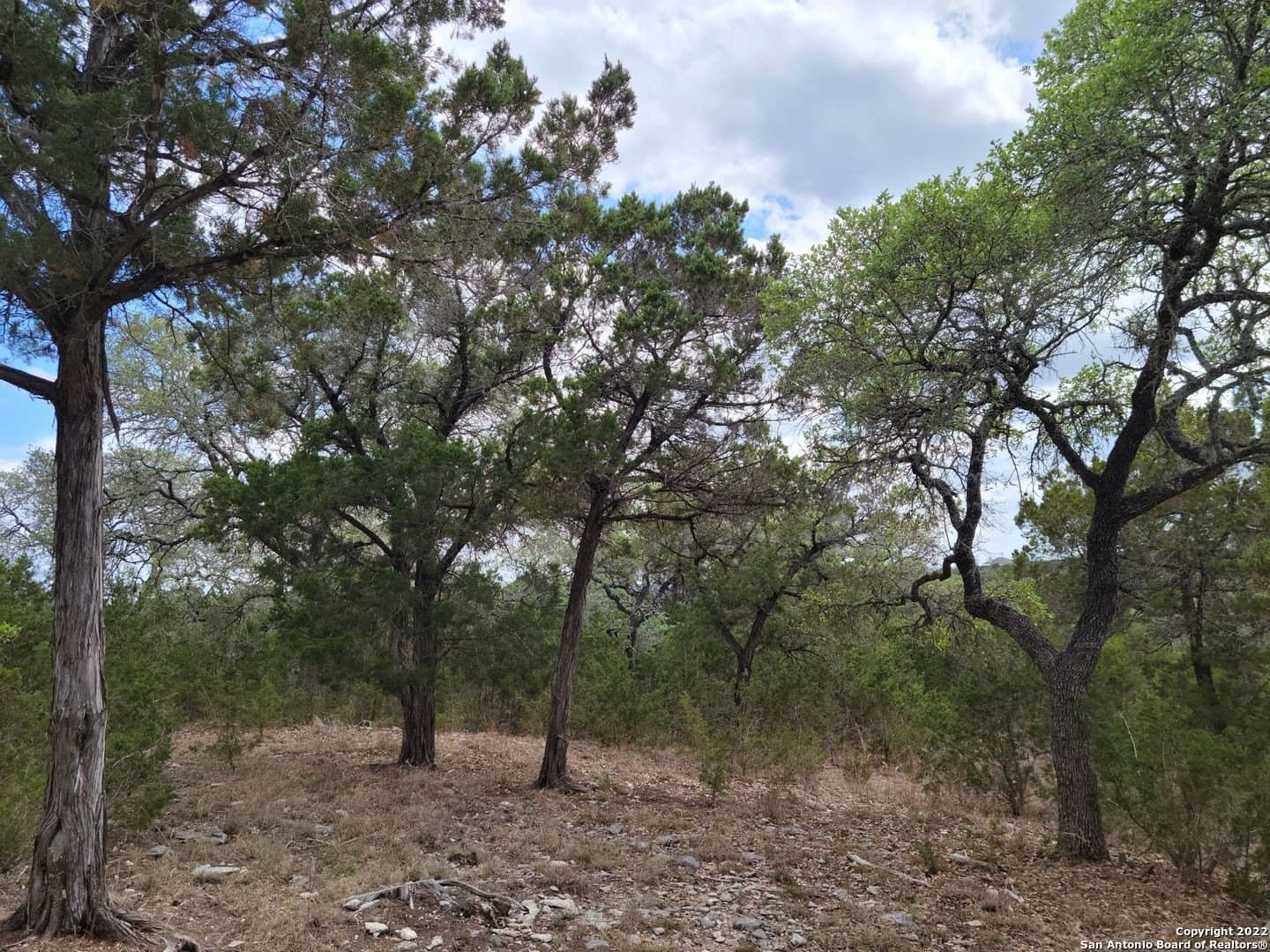 2.53 acres in Comal County - photo 10