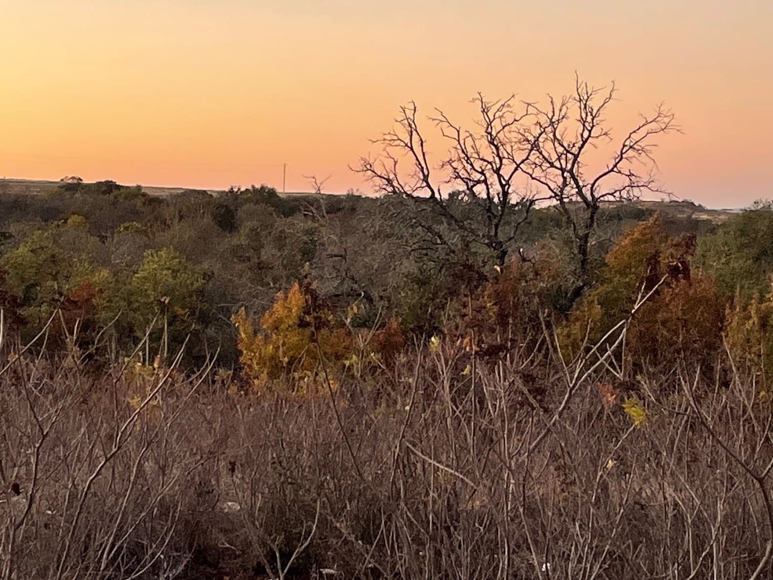 10.01 acres in Hamilton County - photo 4