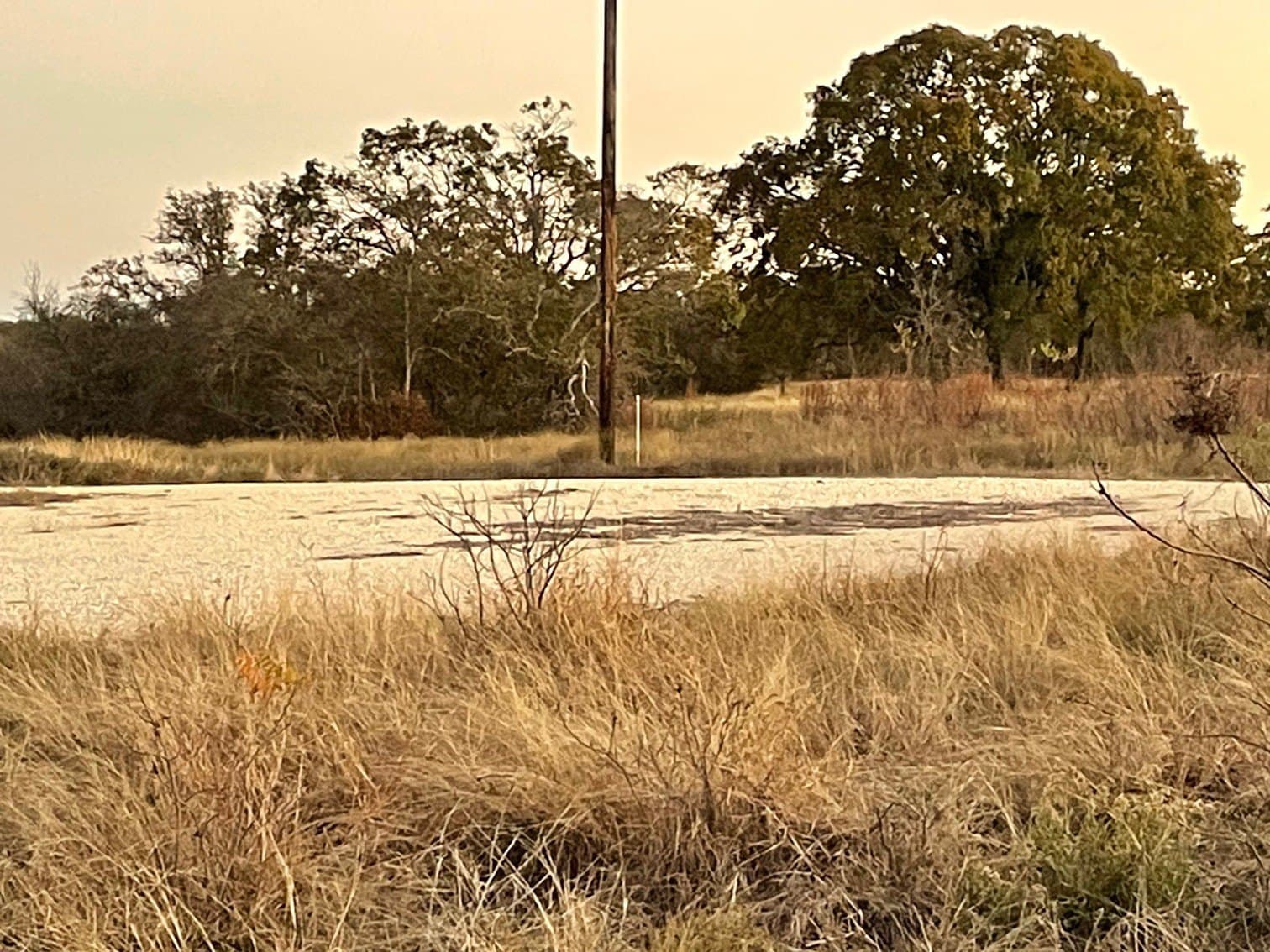 10.01 acres in Hamilton County - photo 5